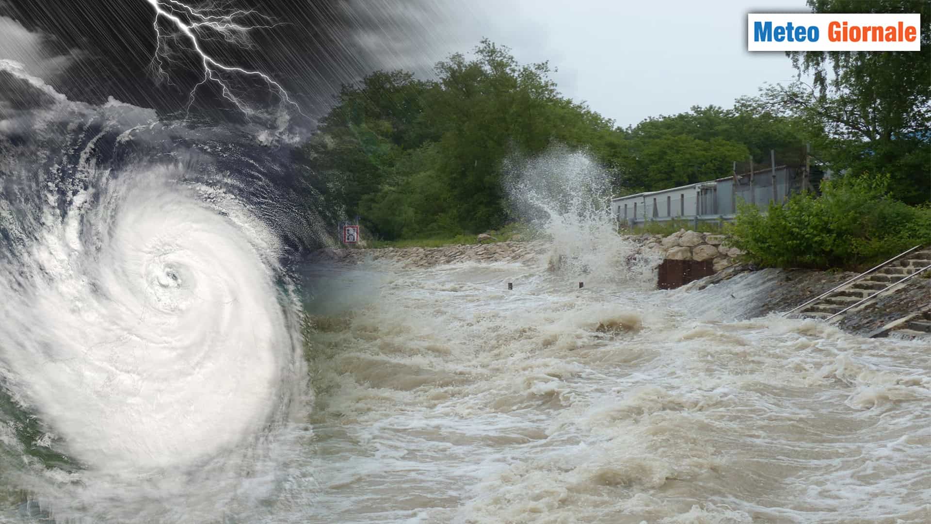 310824 C