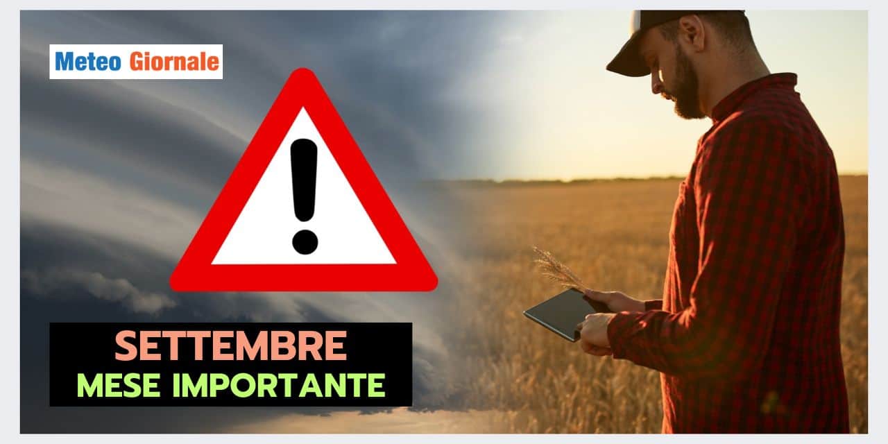 Copia di BOMBE DI GRANDINE 2024 08 04T102756.637
