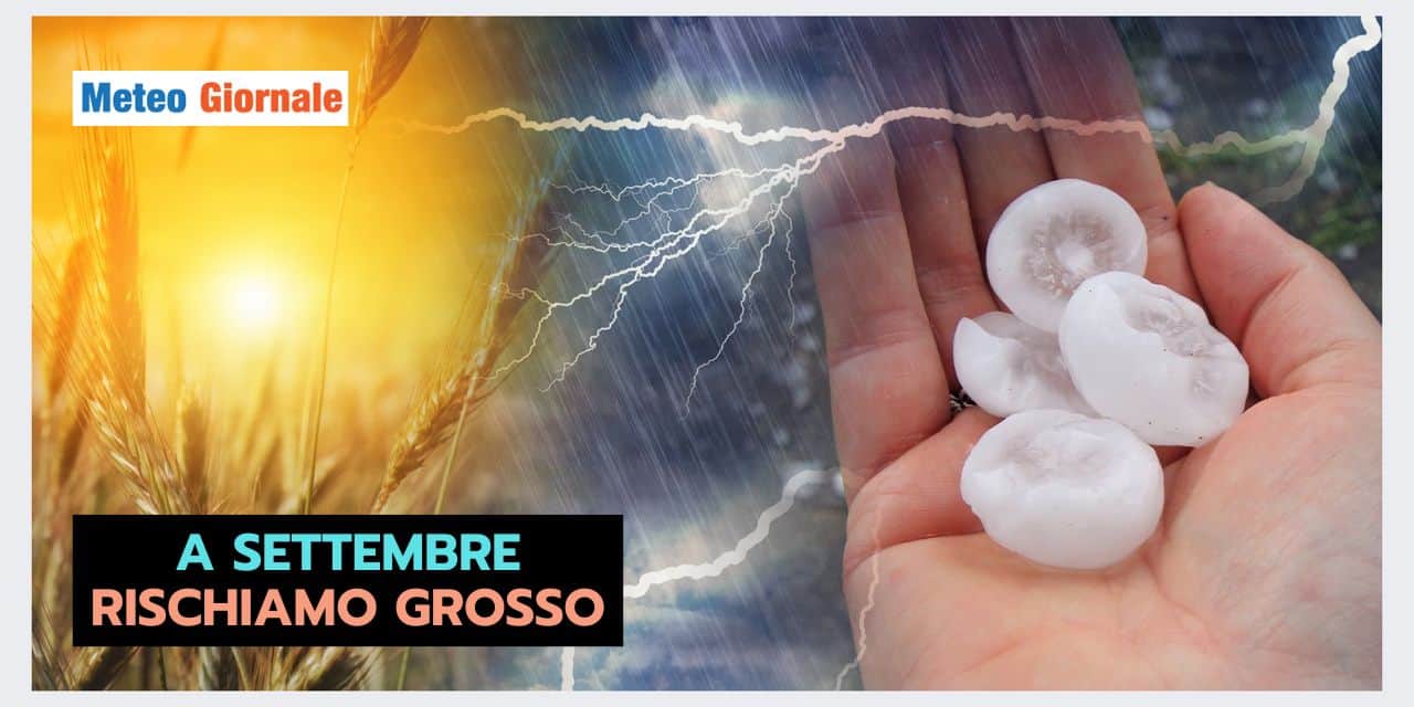 Copia di BOMBE DI GRANDINE 2024 08 05T141421.531