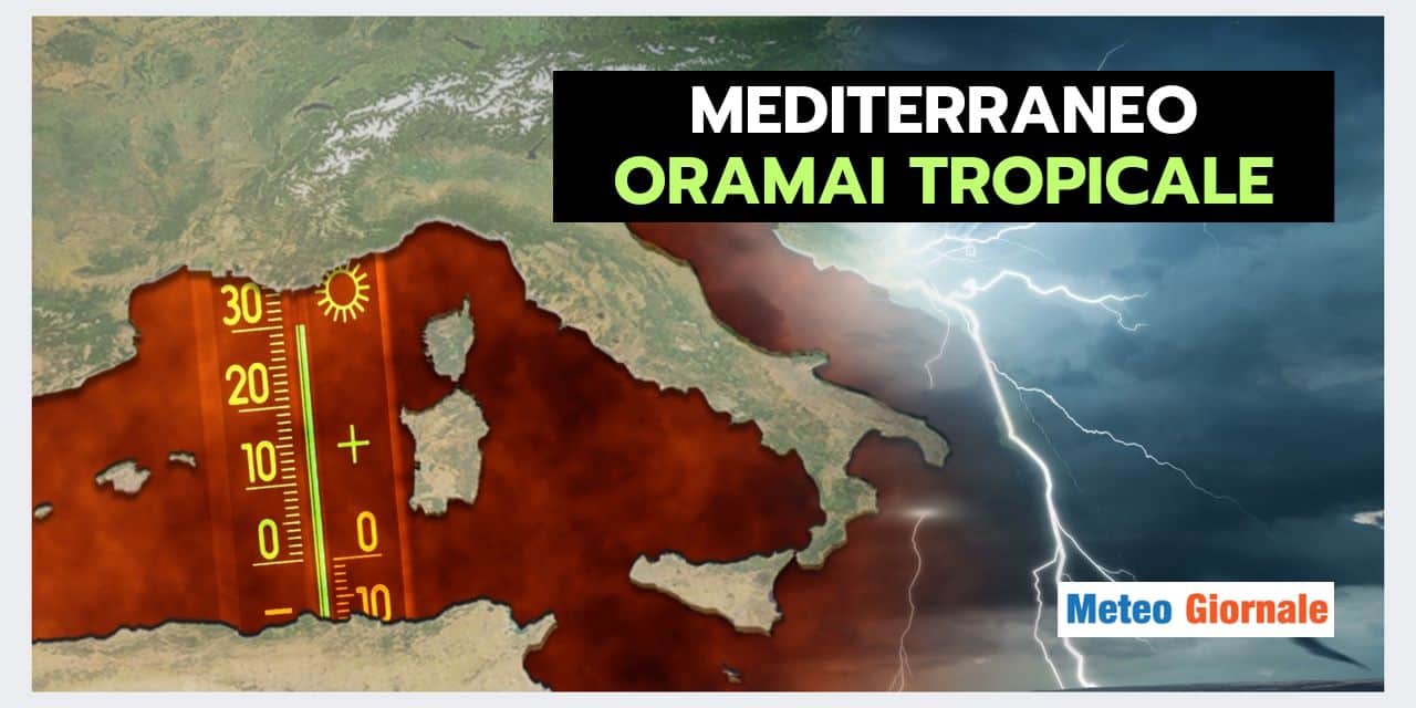 Copia di BOMBE DI GRANDINE 2024 08 08T123328.305