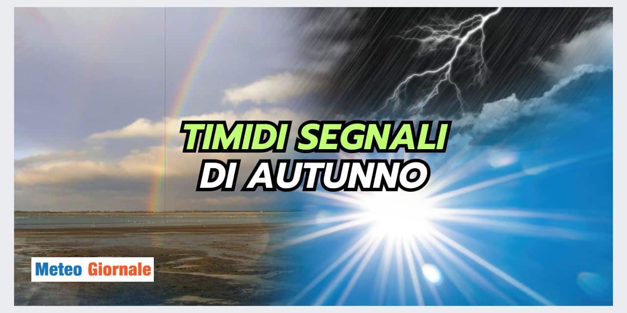 Copia di Copia di BOMBE DI GRANDINE 2024 08 27T094450.008