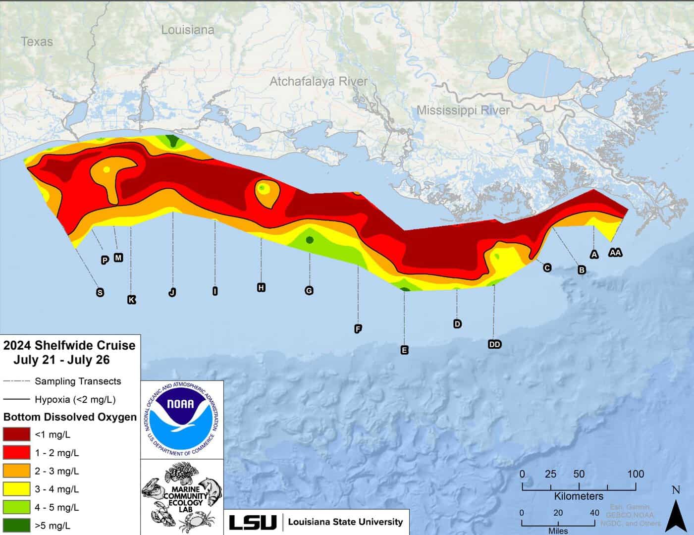 dead zone golfo del messico 2024