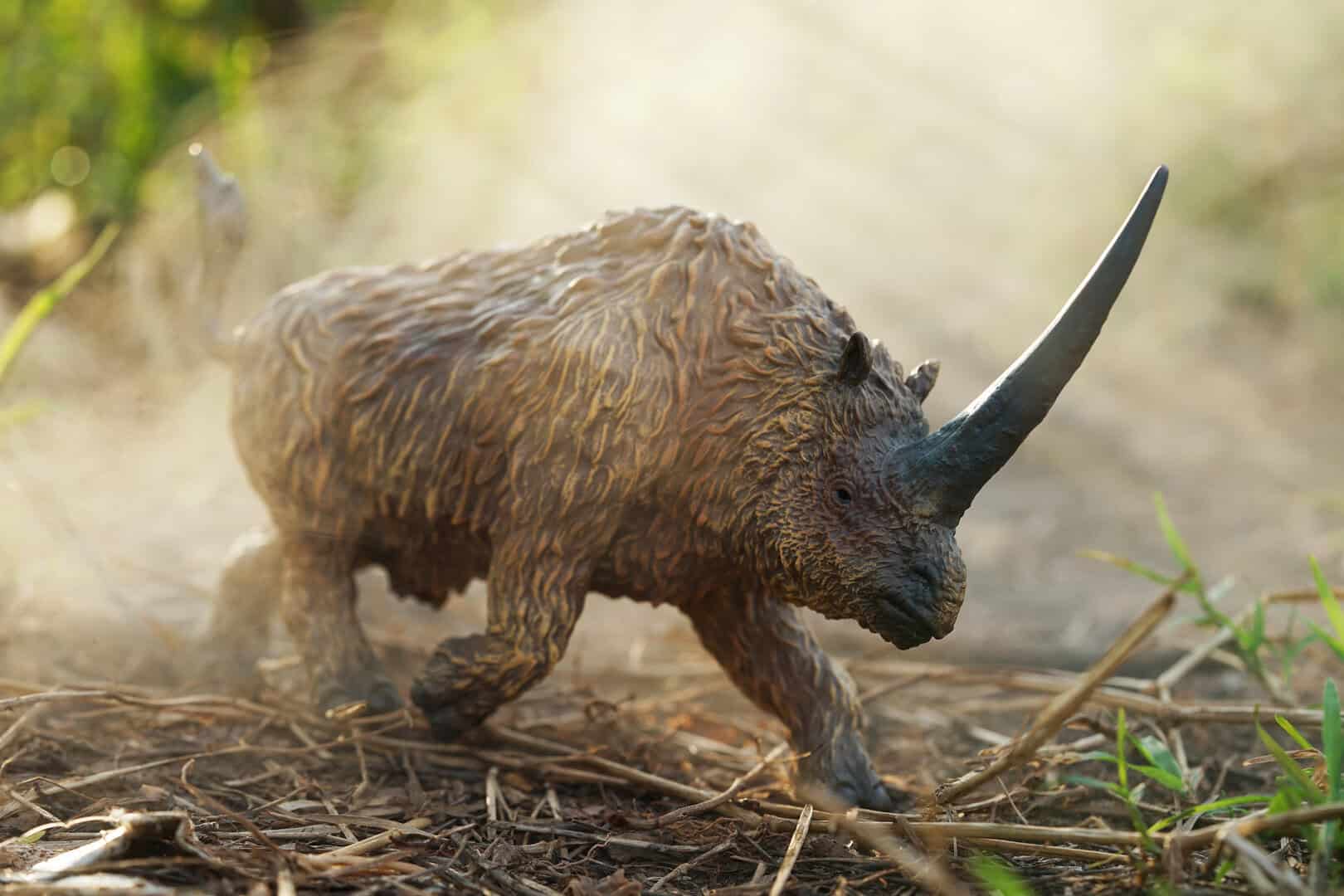 elasmotherium unicorno siberiano