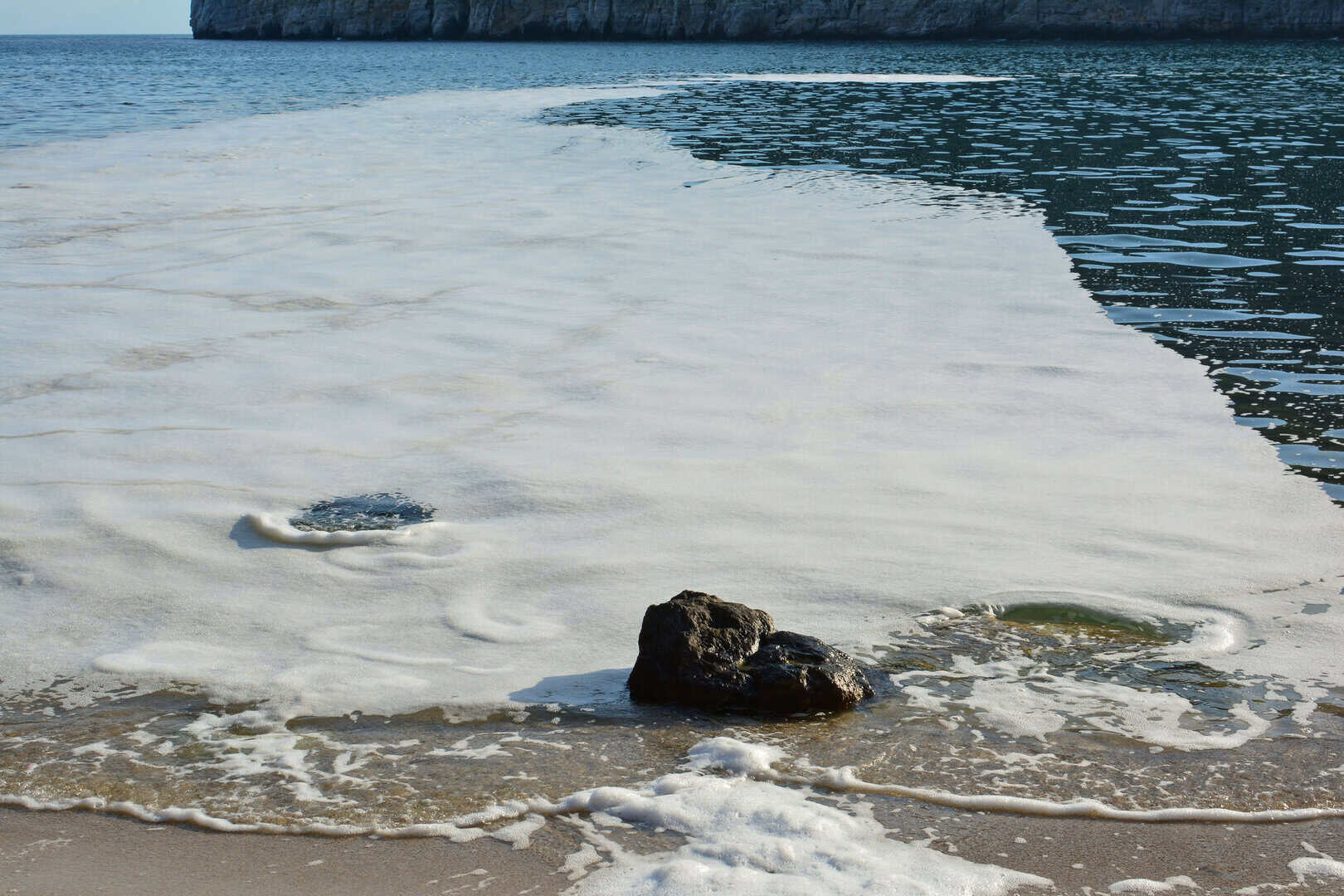 mucillagine adriatico ecosistema tropicale