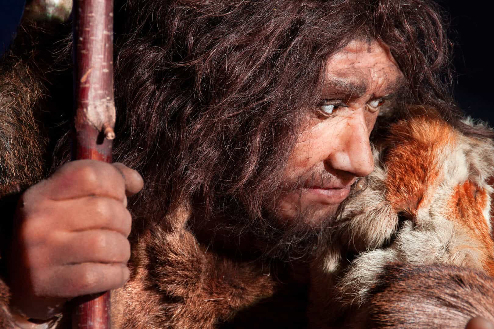 neanderthal prima di homo sapiens