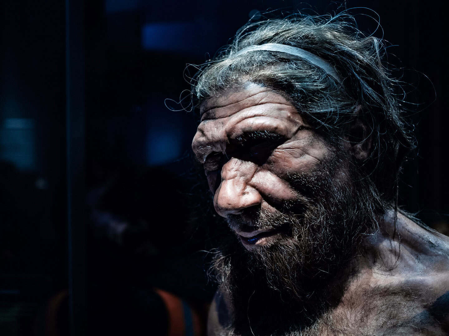 neanderthal storia rivelata