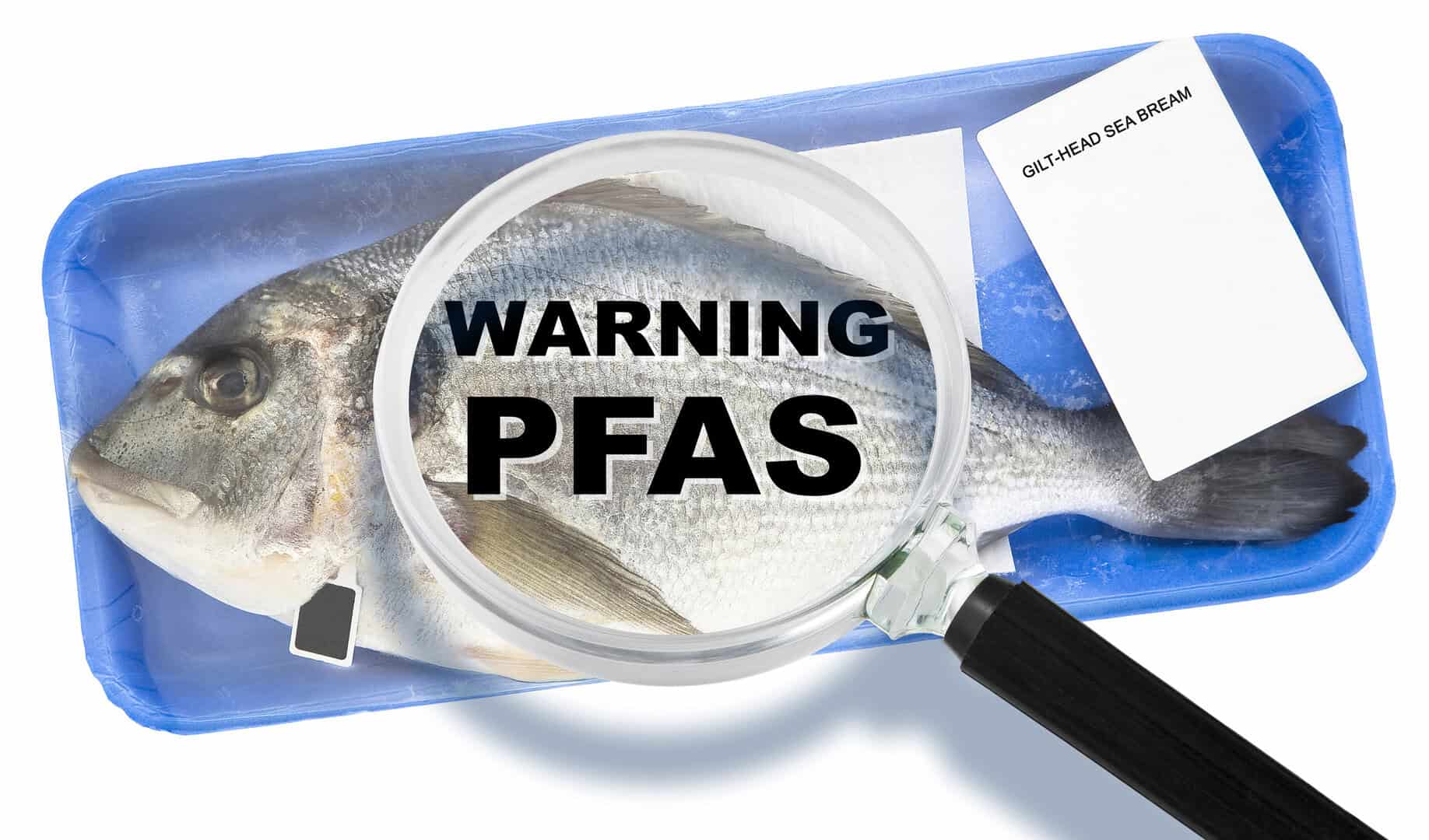 pfas pesci usa