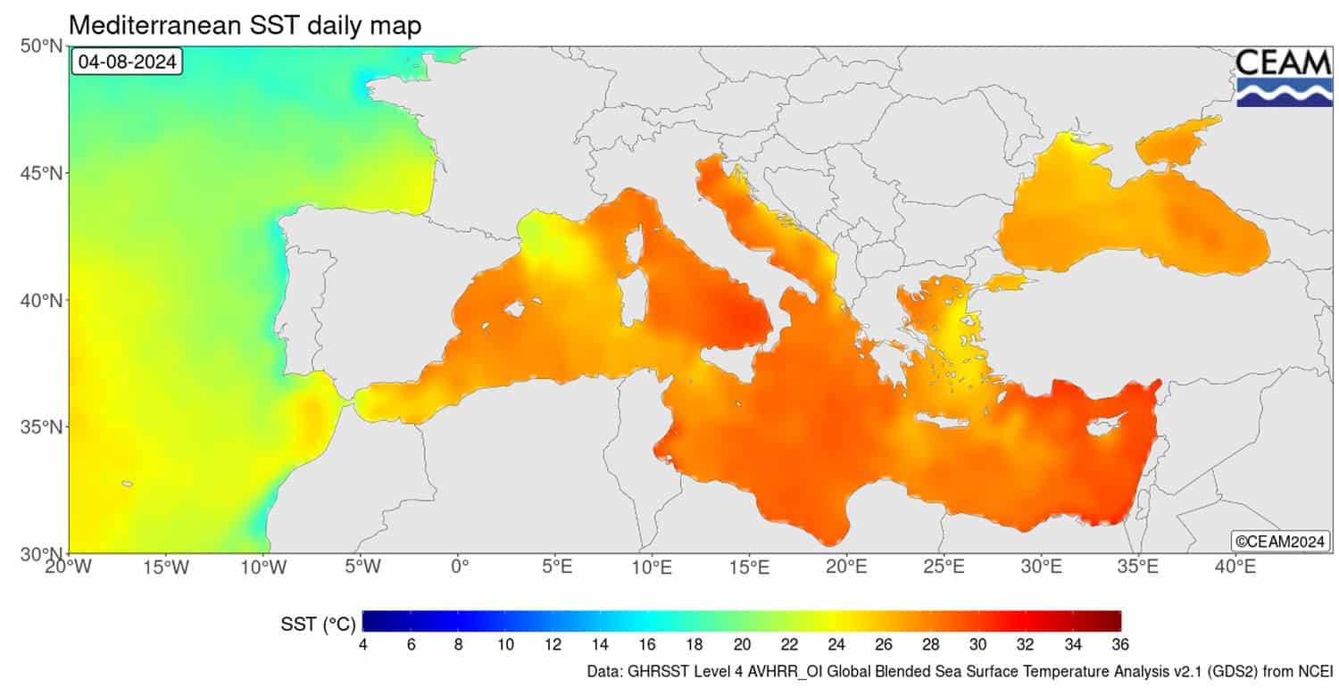 Temperature del mare fino ad oltre 30°C: il riscaldamento del Mediterraneo fa paura