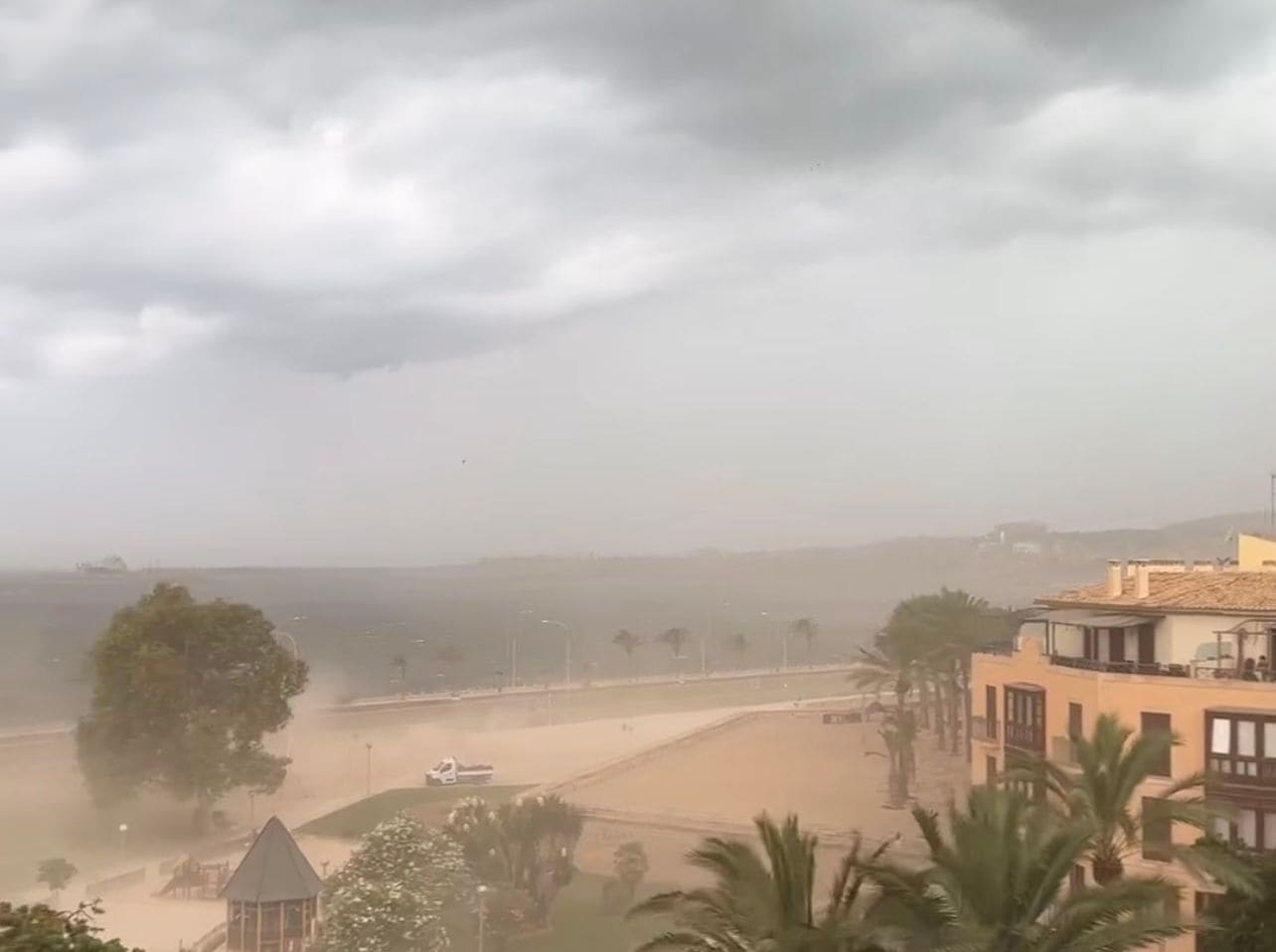 tempesta dana palma de mallorca