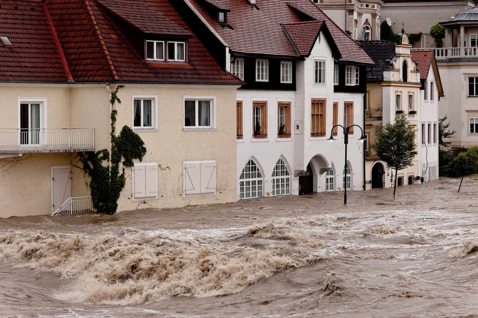 violente tempeste austria vienna