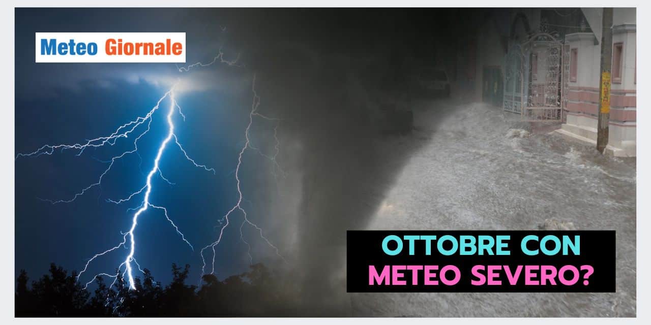 Copia di Copia di BOMBE DI GRANDINE 2024 09 04T132612.091