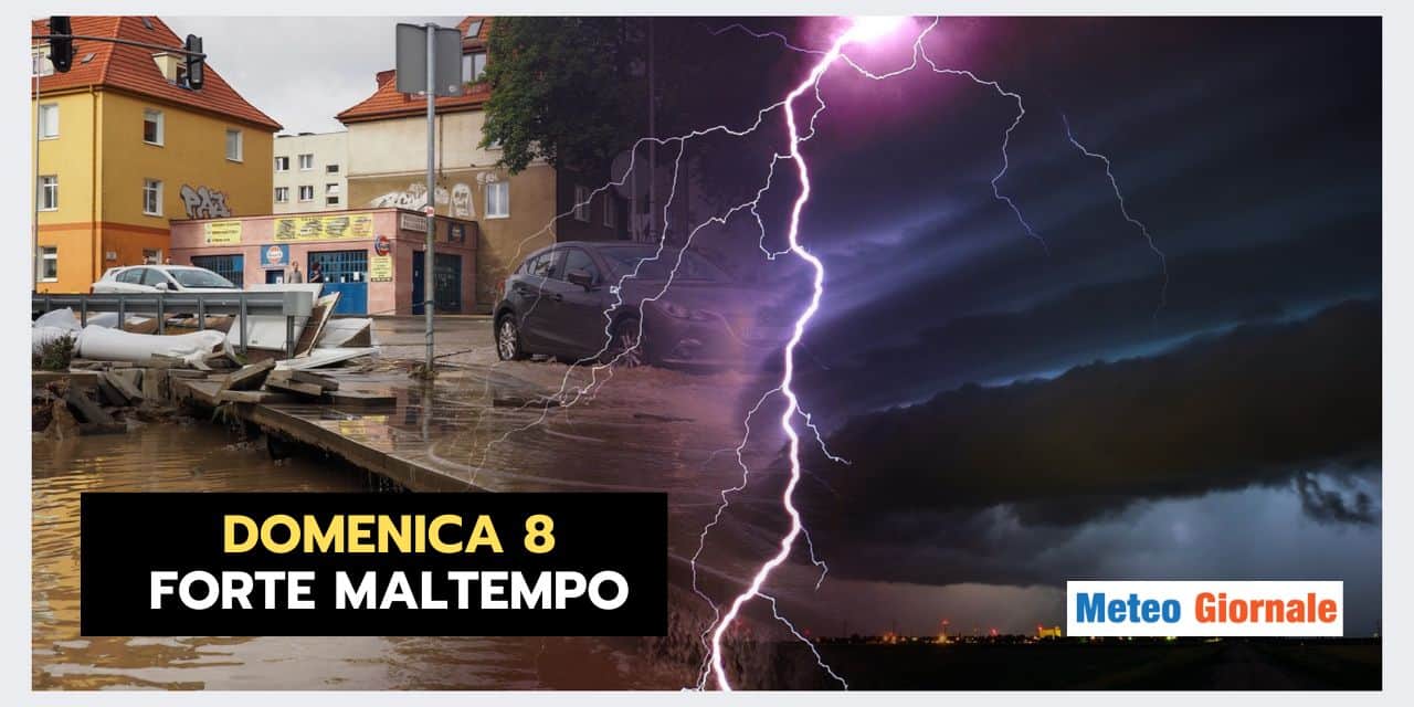Copia di Copia di BOMBE DI GRANDINE 2024 09 05T164440.654