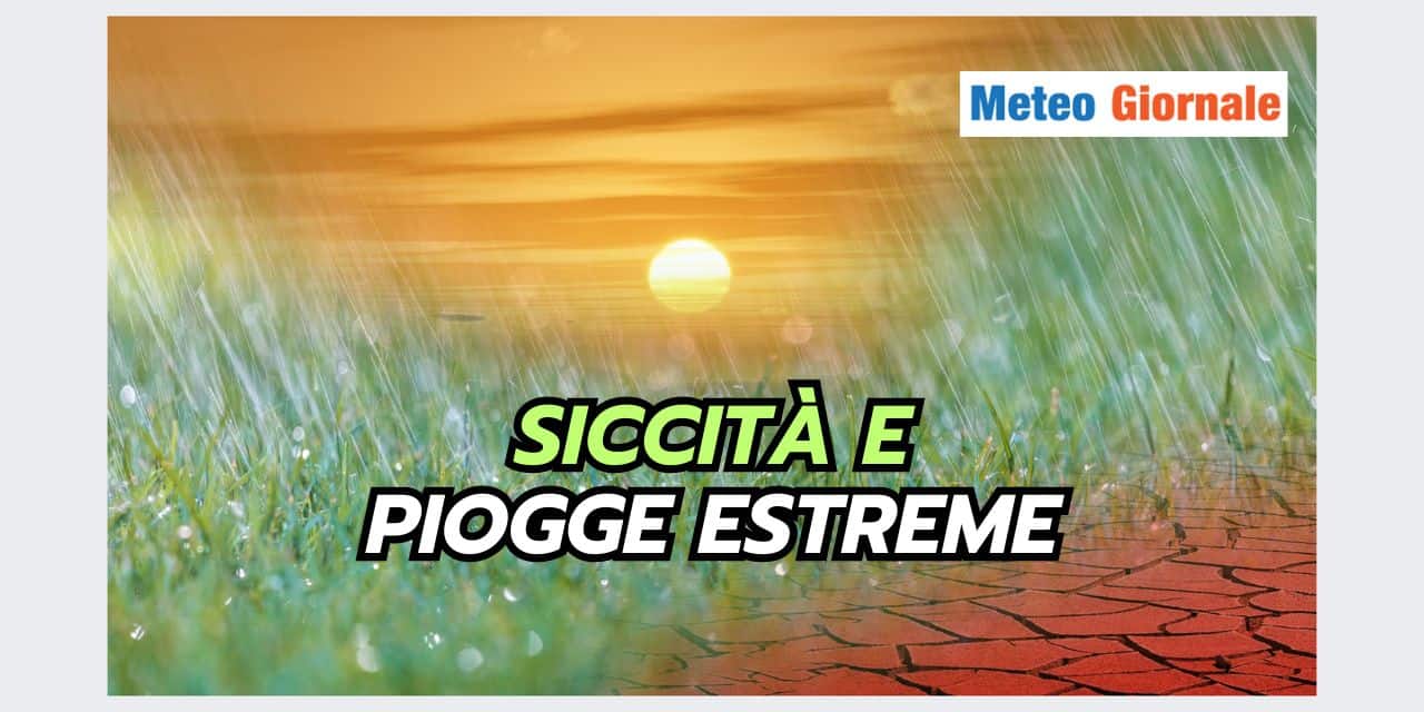 Copia di Copia di BOMBE DI GRANDINE 2024 09 05T181306.470