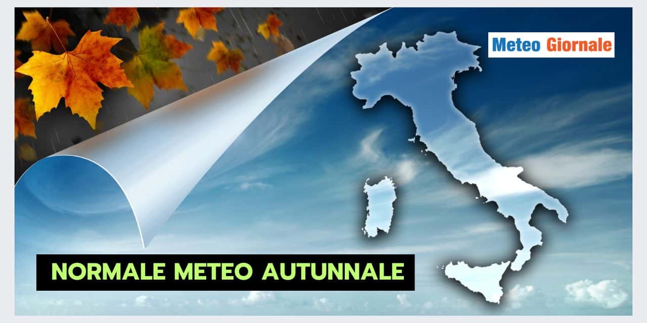 Copia di Copia di BOMBE DI GRANDINE 2024 09 07T104858.499 1
