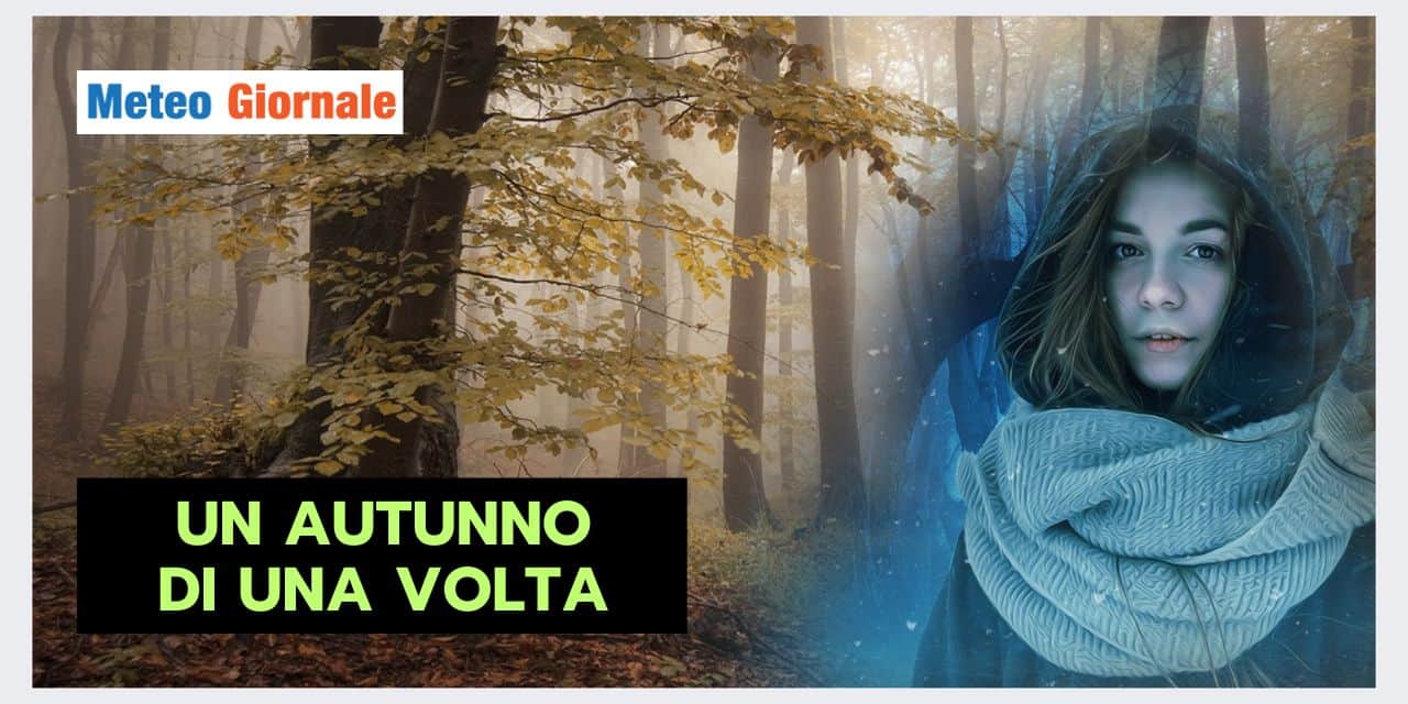 Copia di Copia di BOMBE DI GRANDINE 2024 09 16T102336.914