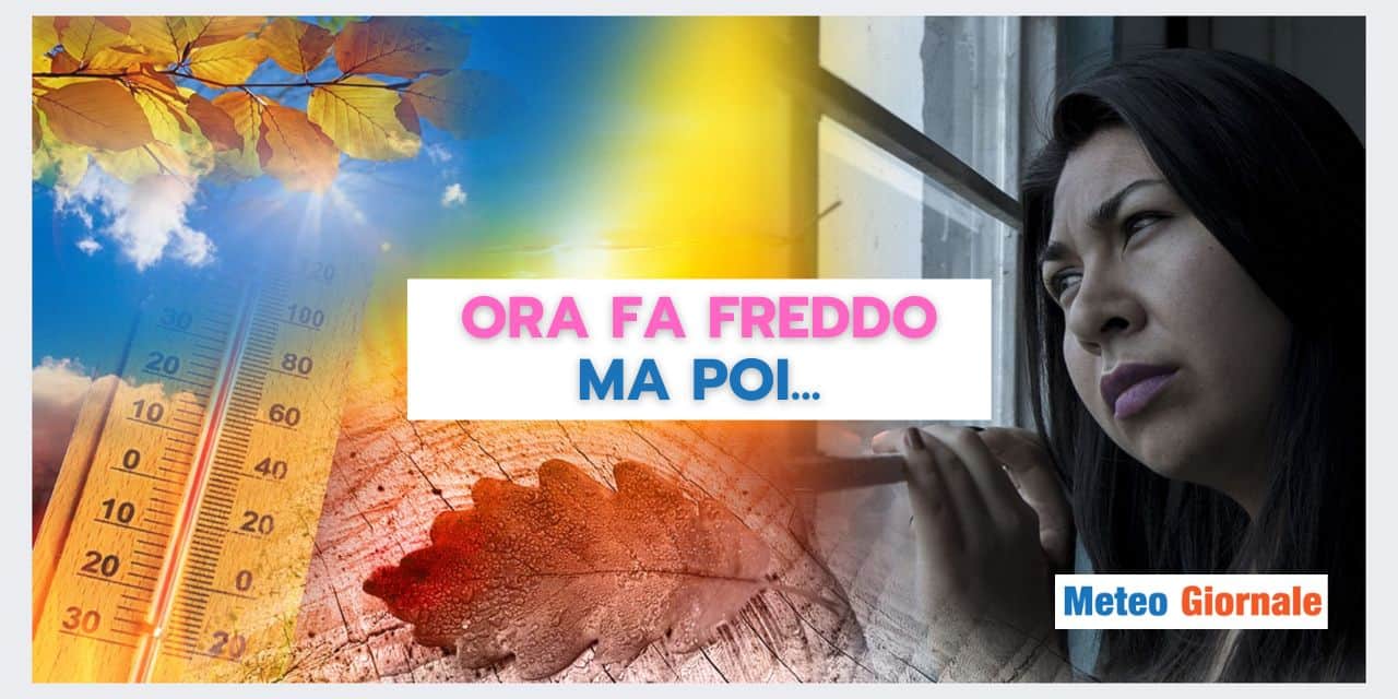 Copia di Copia di BOMBE DI GRANDINE 2024 09 16T123559.644