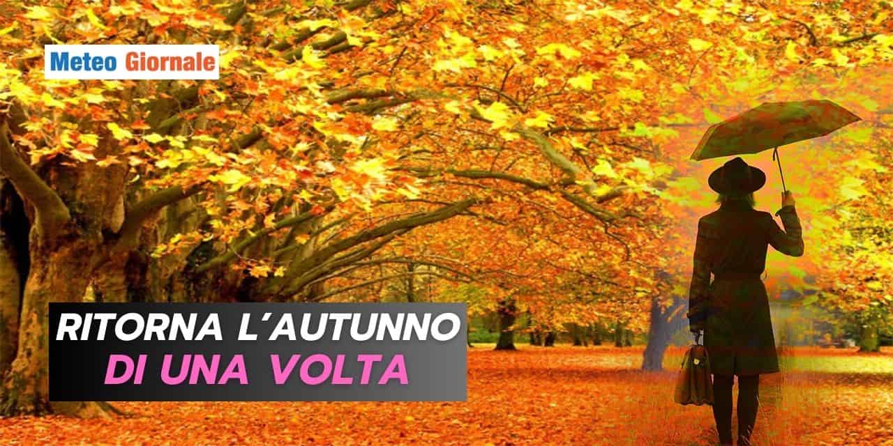 Copia di Copia di BOMBE DI GRANDINE 3 3