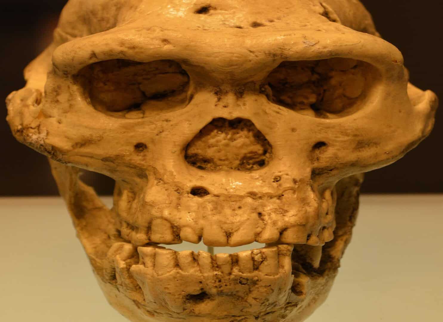 antenati denti sani 22 09