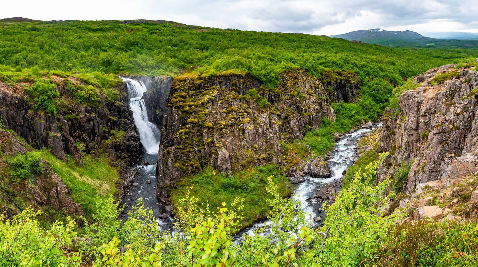 Egilsstaðir: un viaggio nel cuore selvaggio dell’Islanda orientale