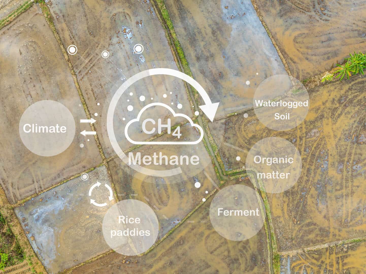L’aumento delle emissioni di metano mette a rischio gli obiettivi climatici globali