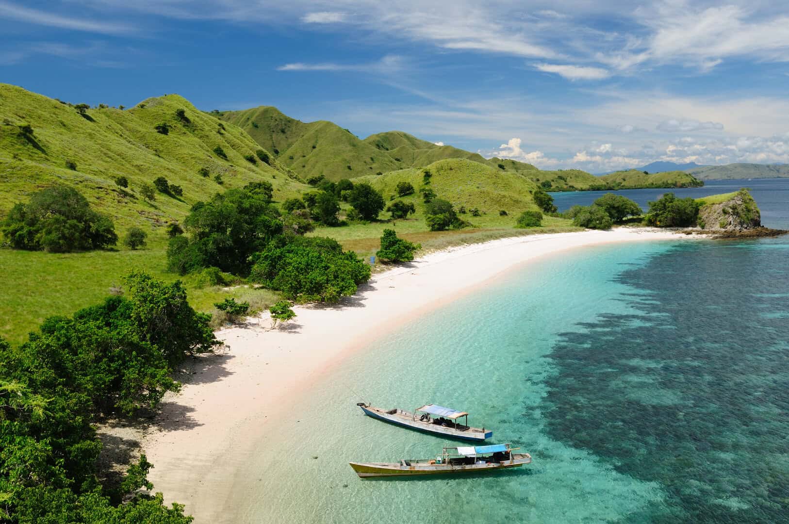 flores indonesia 1020