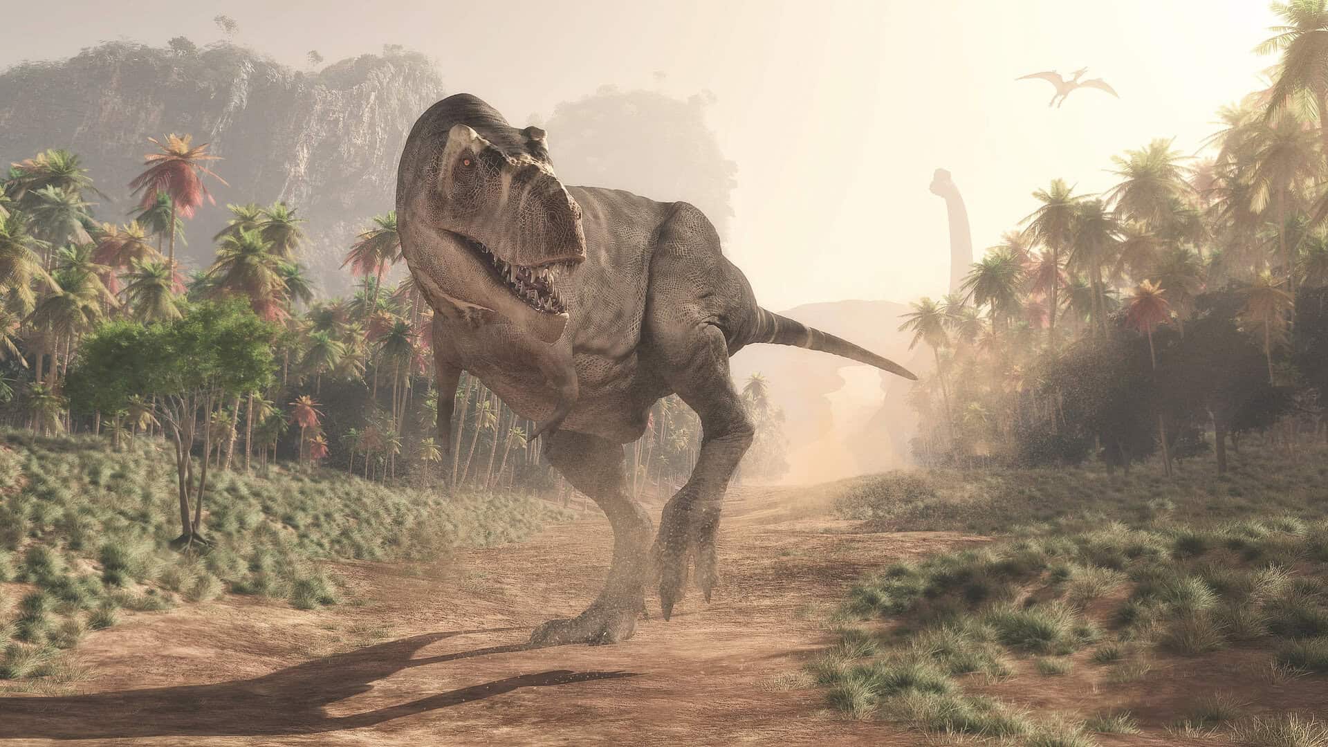 Scoperta una nuova specie di tirannosauro: Labocania aguillonae, un predatore del sud