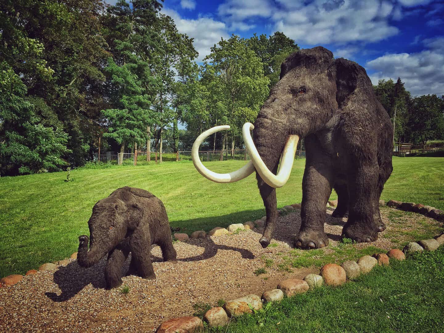 mammut estinzione febbre da fieno 18