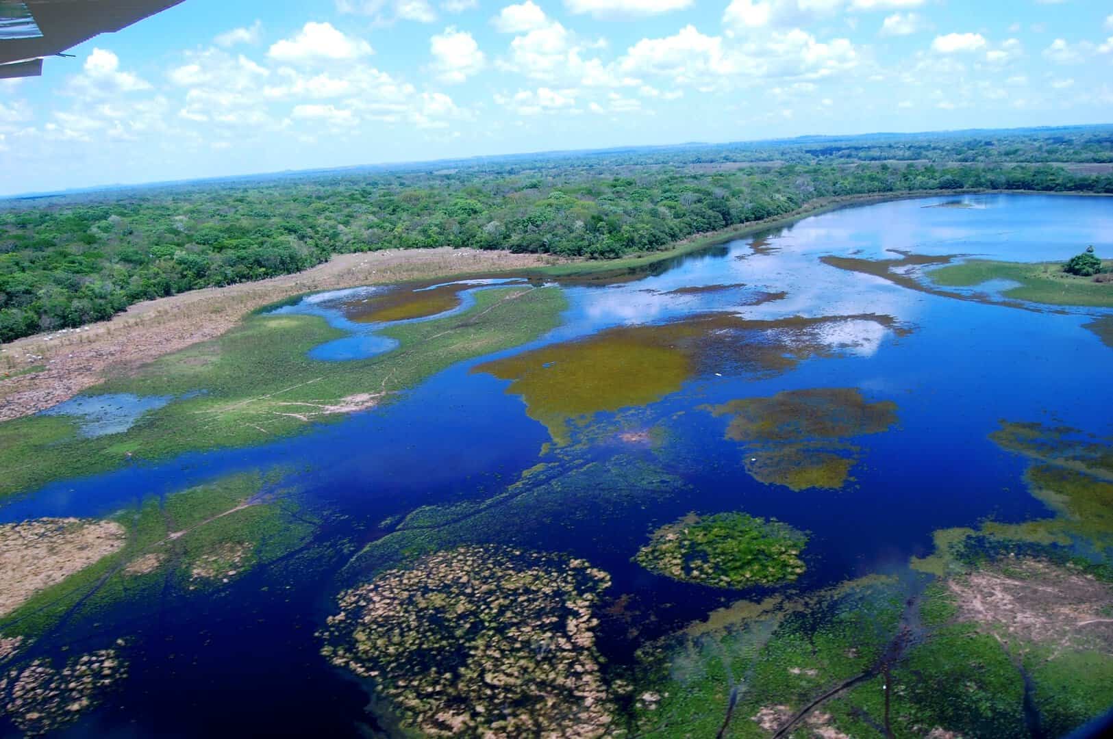 pantanal lagune 02 10