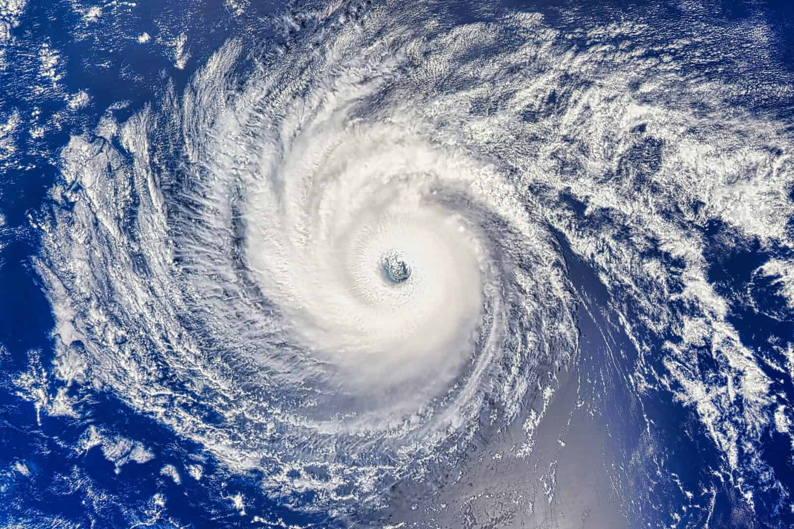shutterstock 2491555539