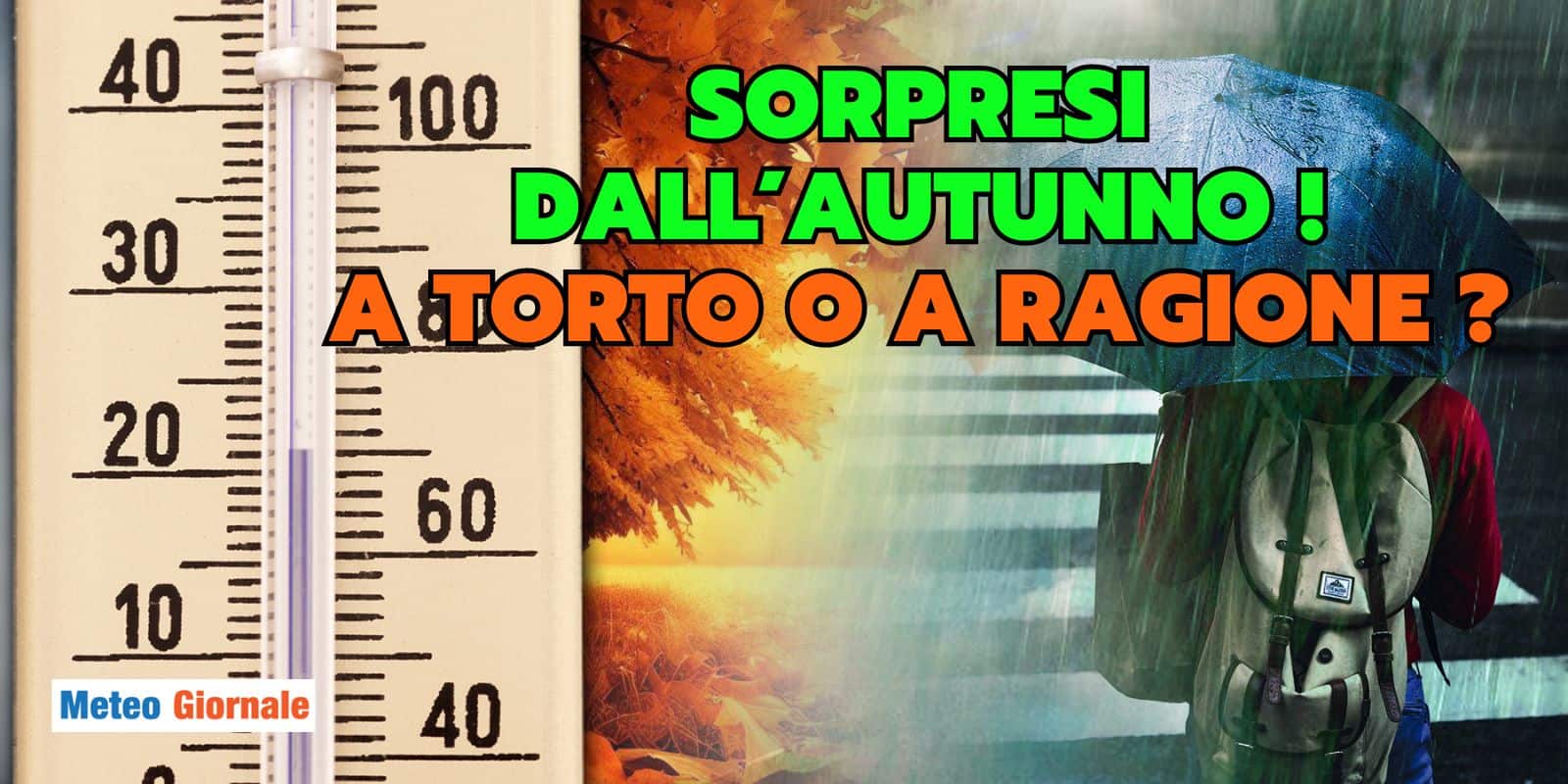 sorpresa autunno 16 fwy1
