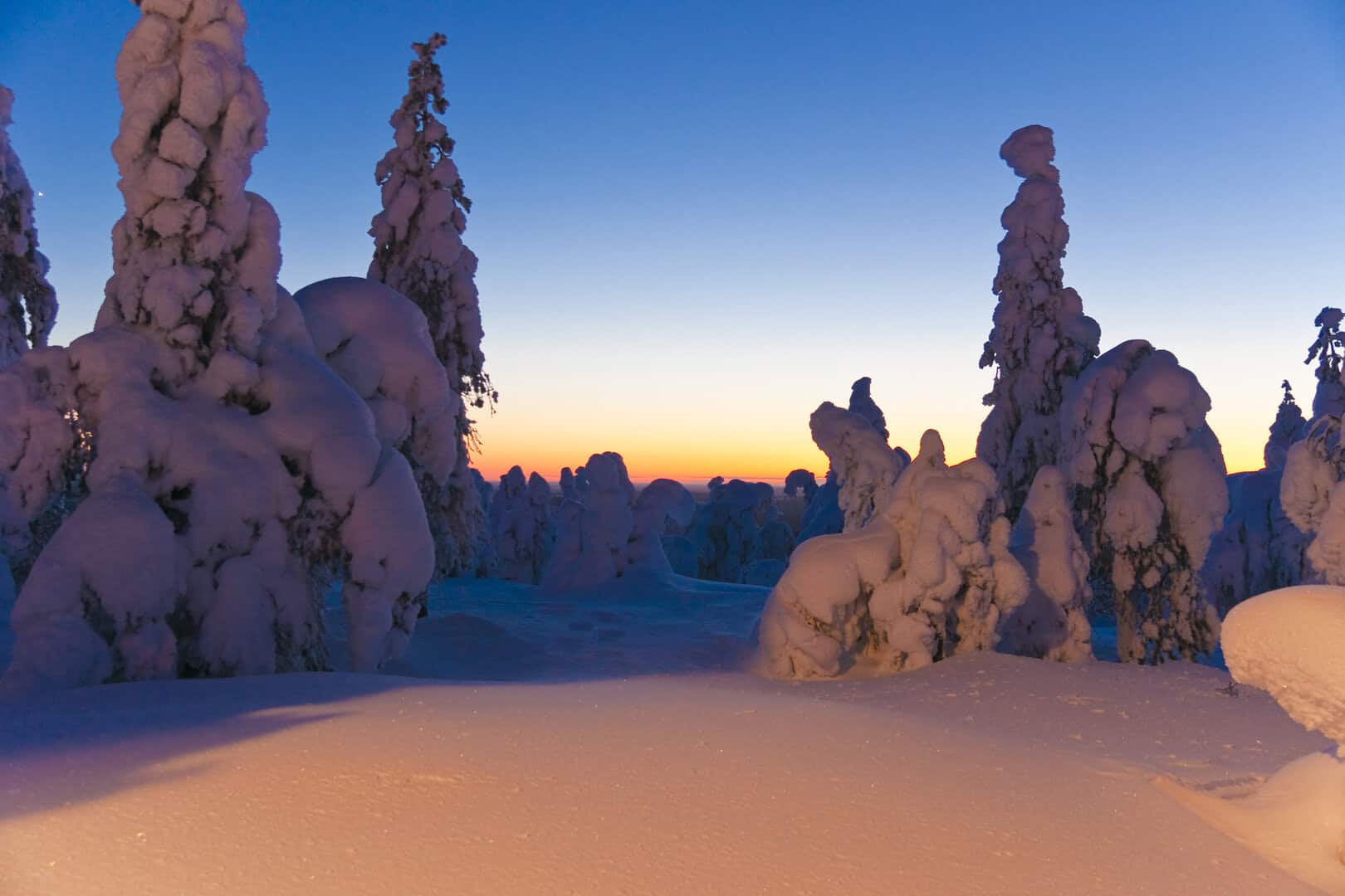 syote incanto finlanda 1006