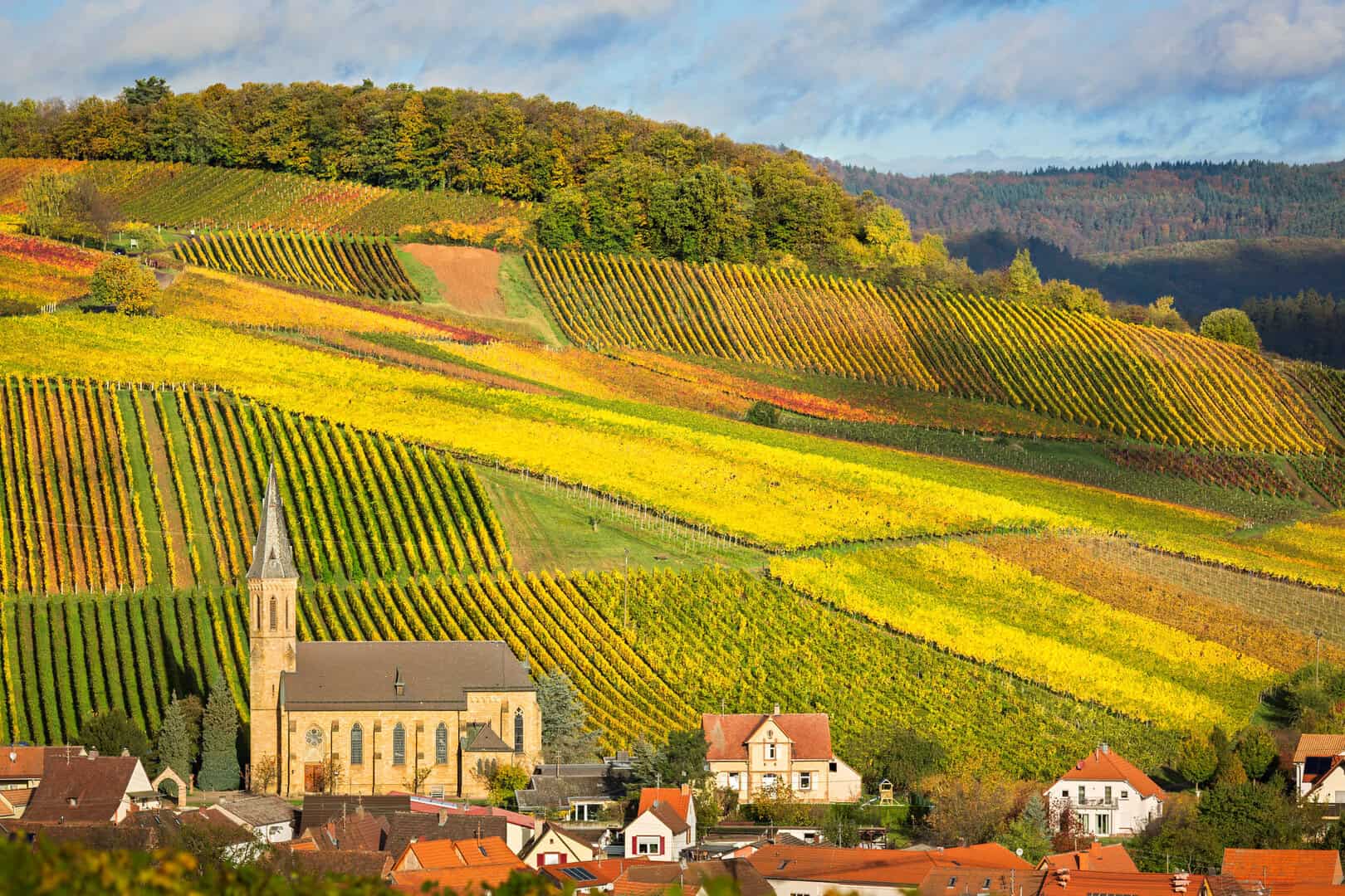 Viaggio nel Palatinato: alla scoperta delle rinomate Strade del Vino nella valle del Reno