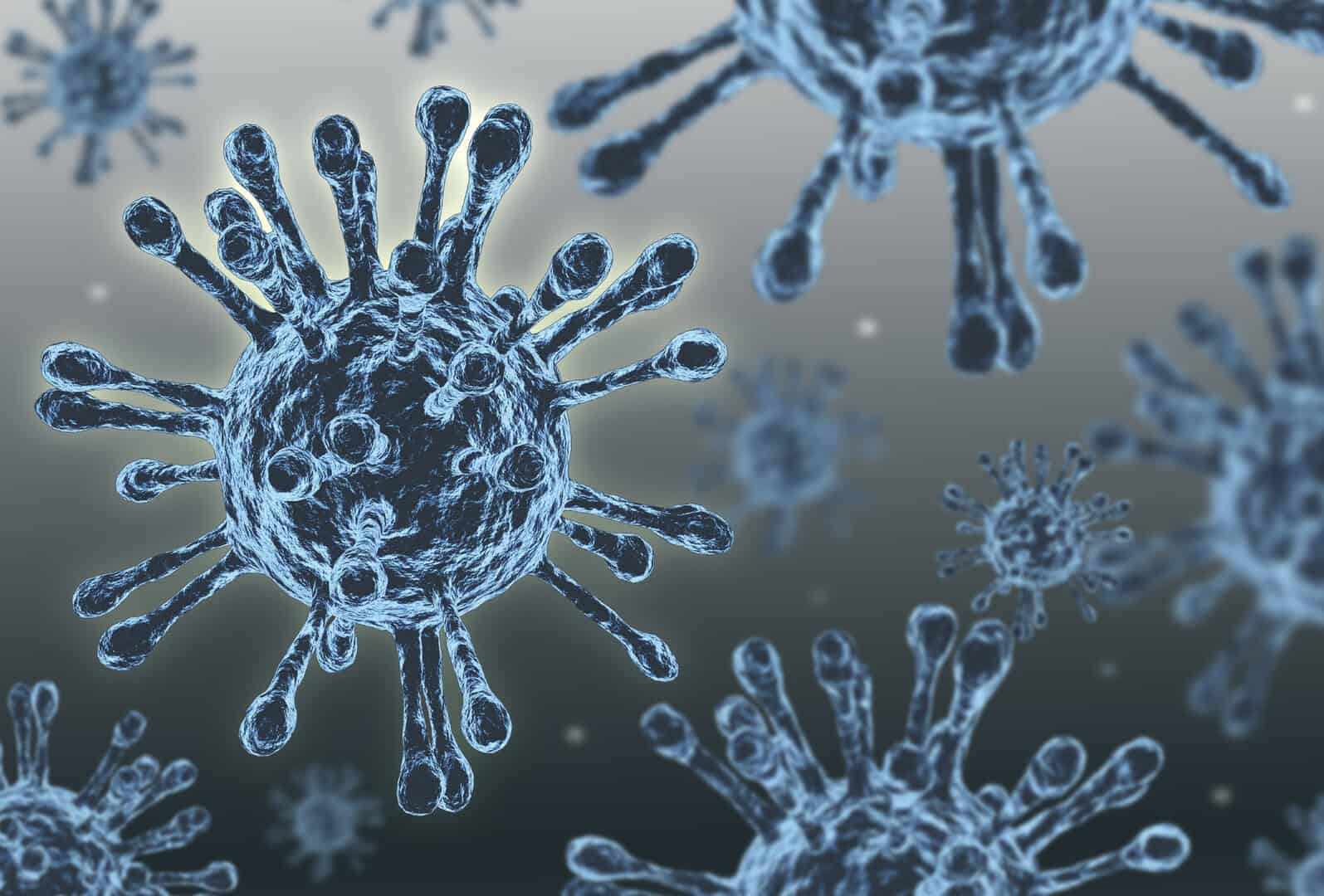virus pellicce 13