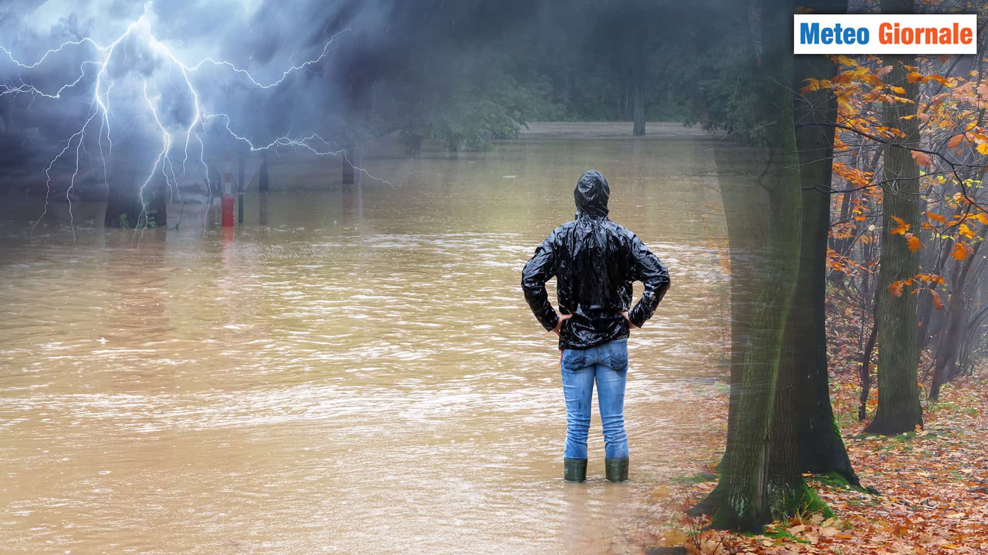 041024 D
