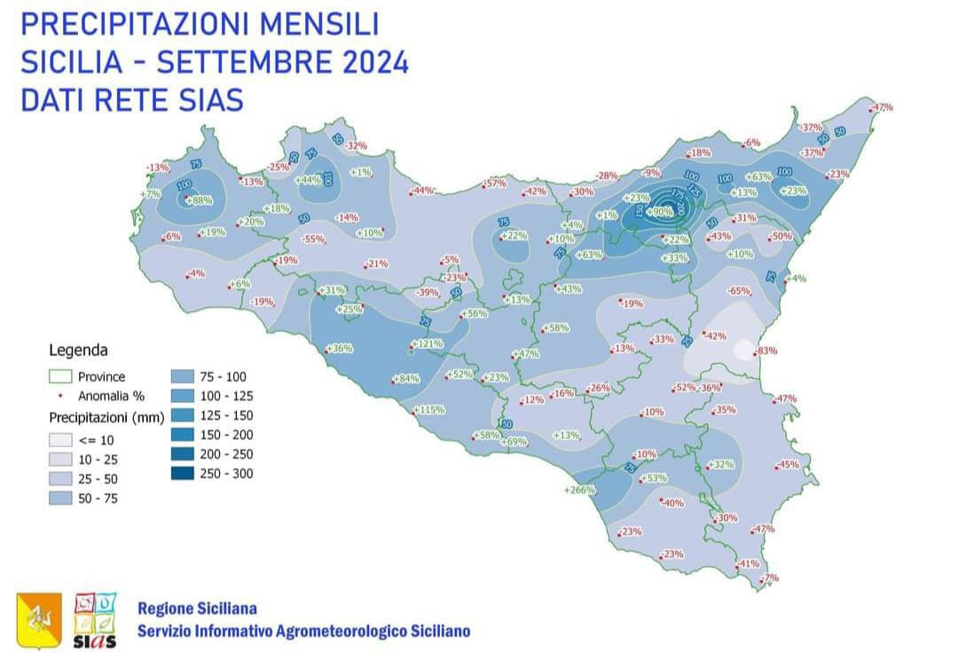 20241006 002557