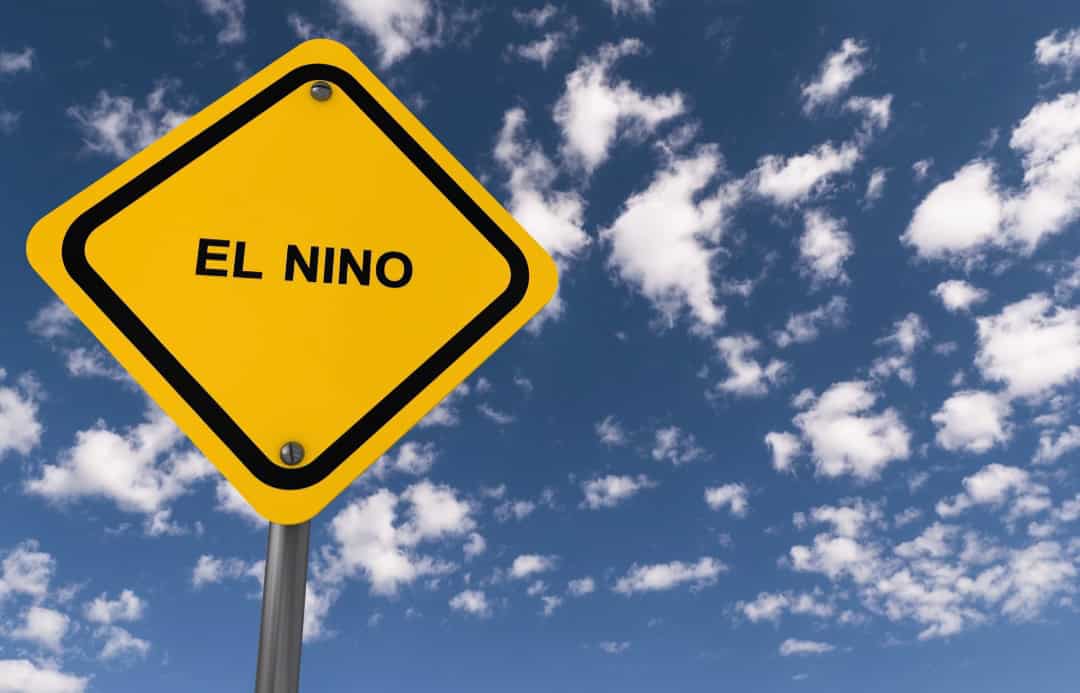 Meteo, El Niño distrugge i Ghiacciai tropicali: un disastro annunciato
