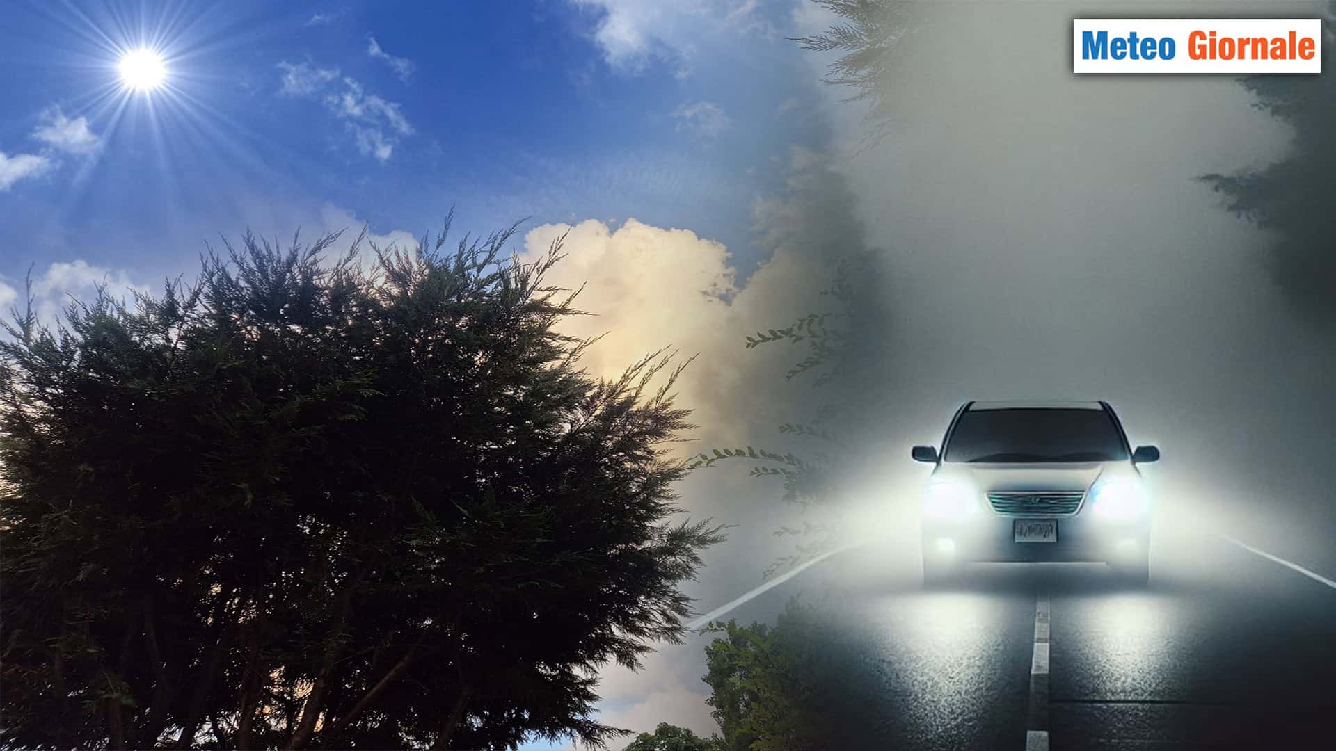 281024 I