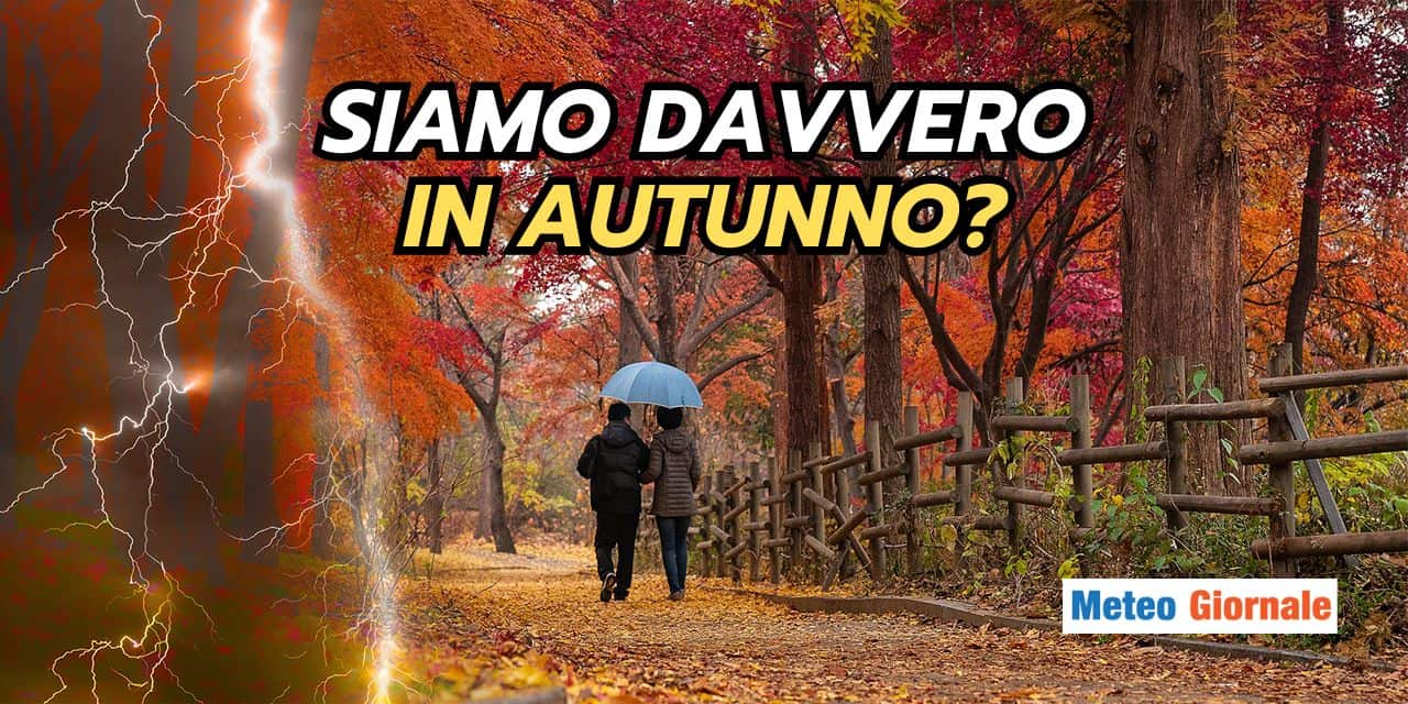 Copia di BOMBE DI GRANDINE 6