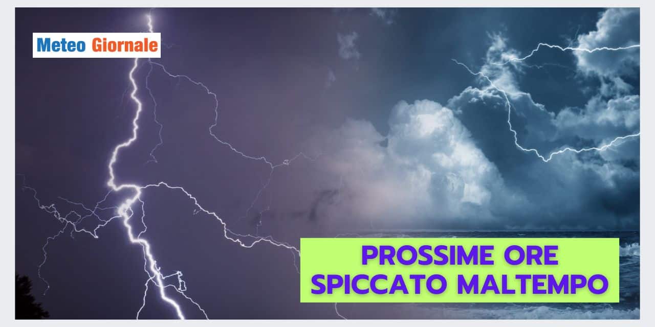 Copia di Copia di BOMBE DI GRANDINE 2024 10 02T090757.305