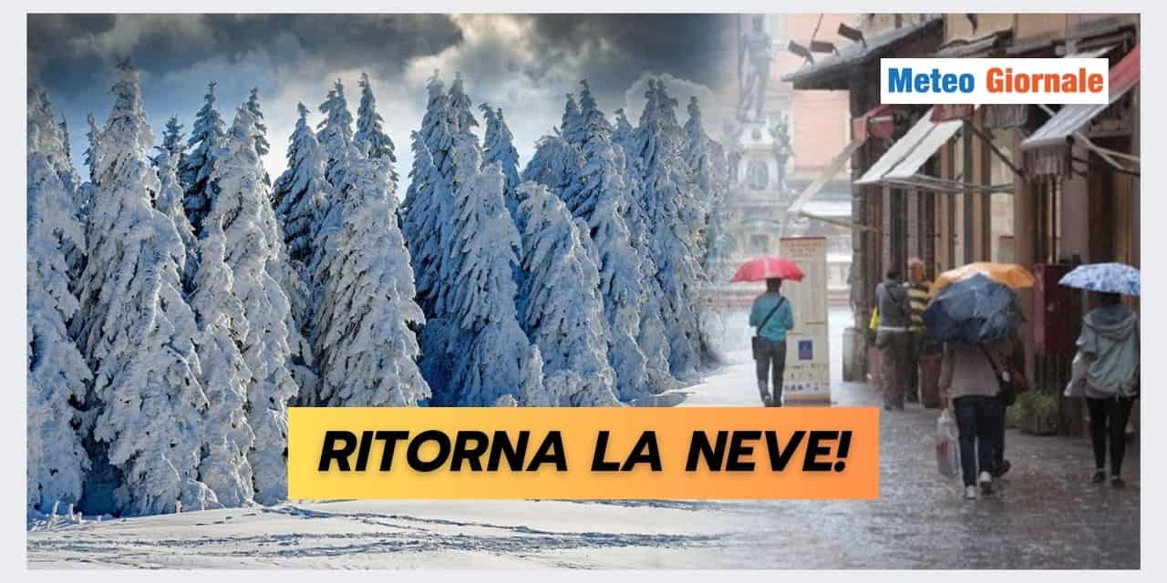 Copia di Copia di BOMBE DI GRANDINE 2024 10 02T091711.396