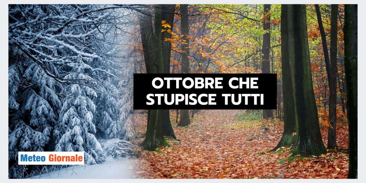 Copia di Copia di BOMBE DI GRANDINE 2024 10 04T125915.730