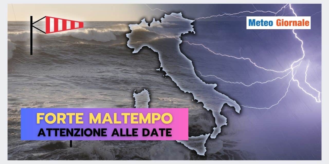 Copia di Copia di BOMBE DI GRANDINE 2024 10 12T192707.944