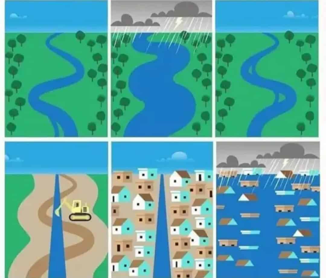 Ruolo degli alberi contro le alluvioni