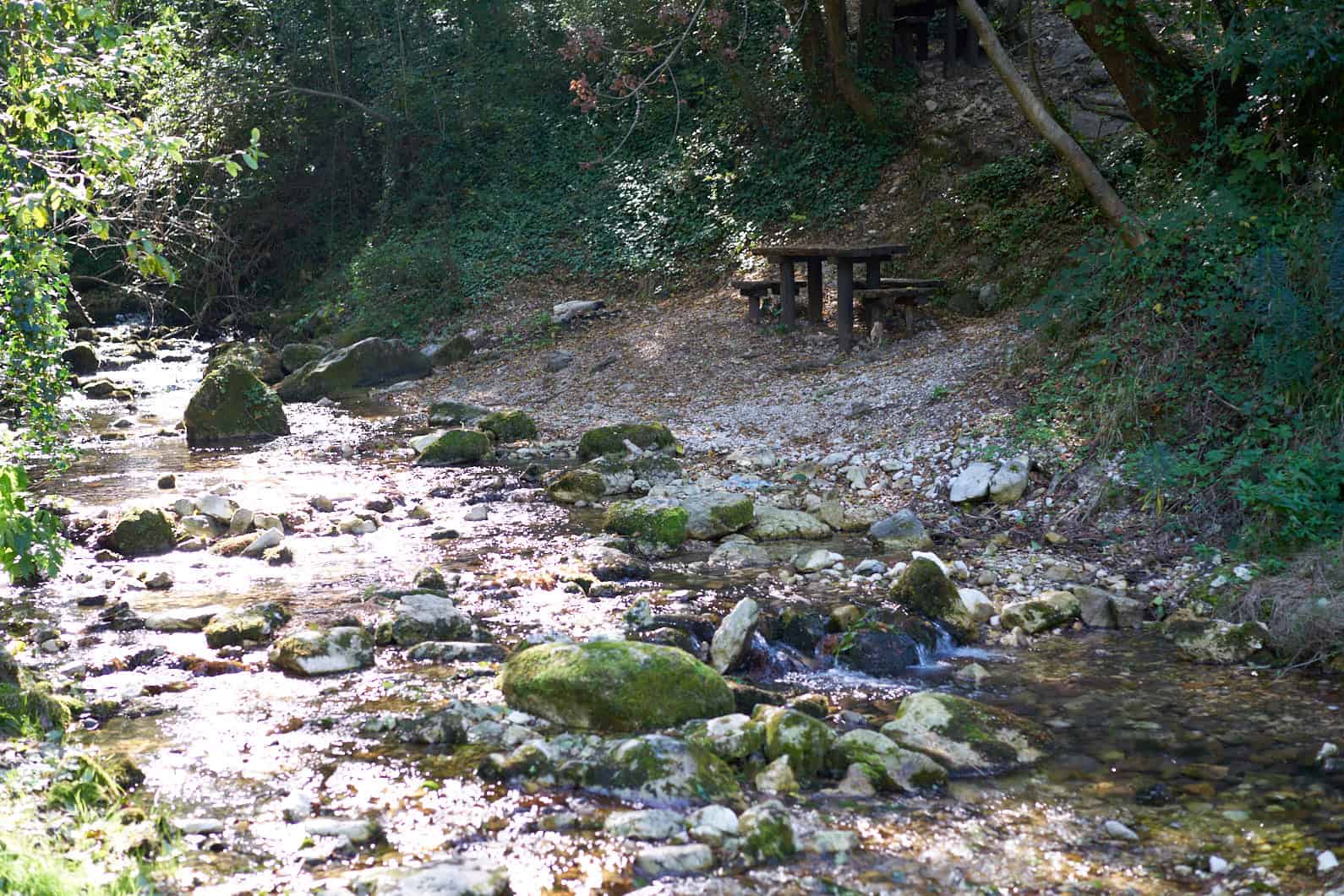 Sorgenti del fiume verde