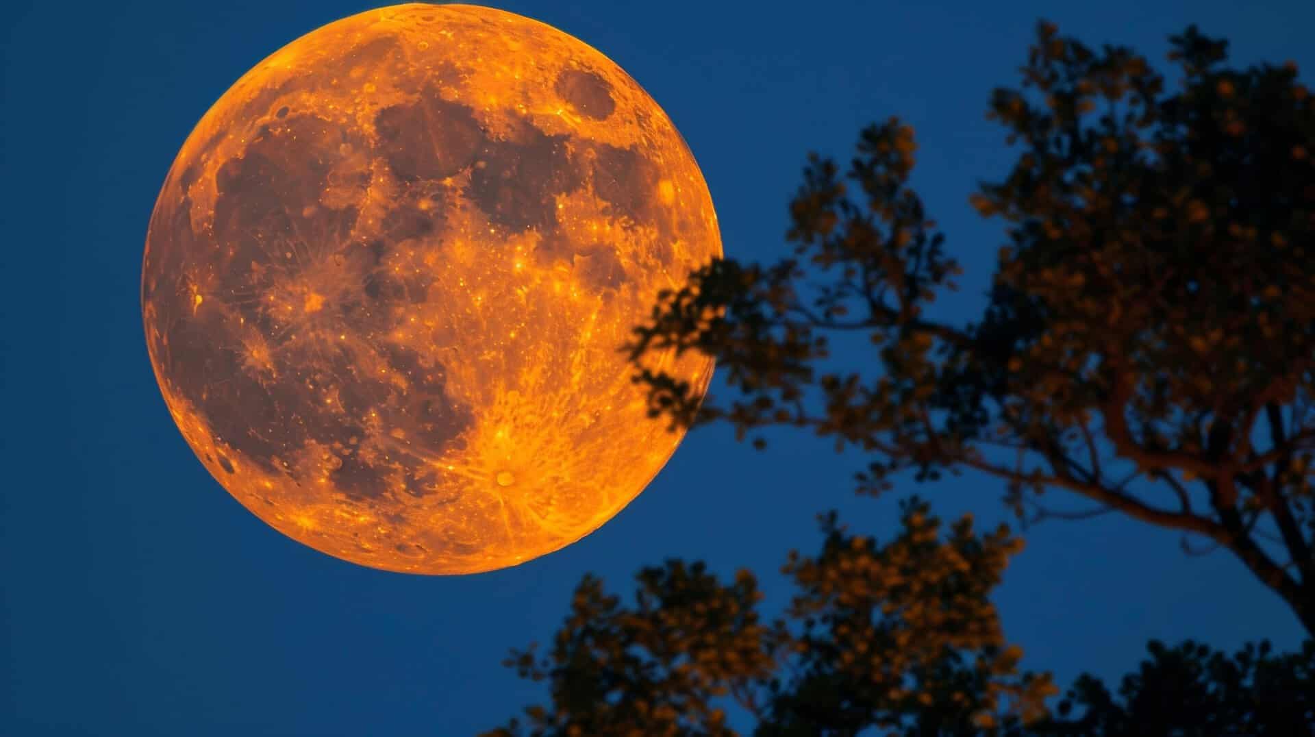 Novembre 2024: tantissimi eventi astronomici da non perdere. Segnatevi tutte le date!
