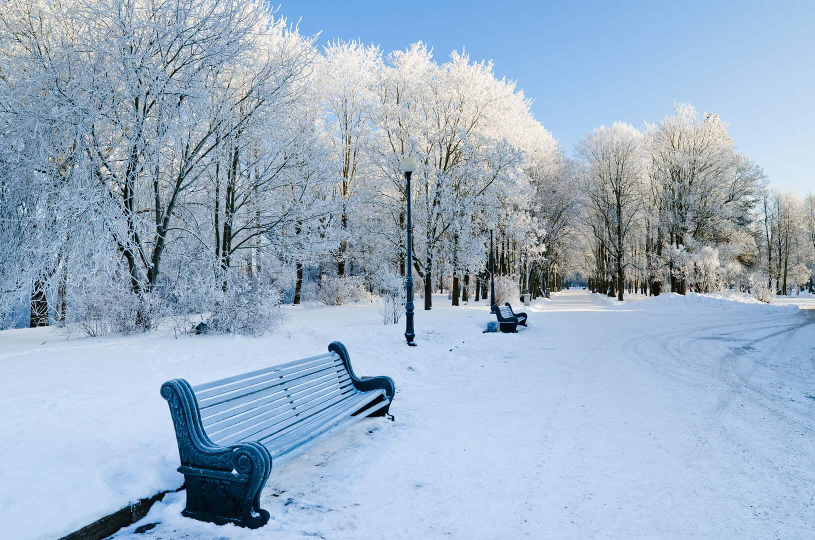 Dal monitoraggio all’incanto: l’attesa della NEVE per chi ama la meteo