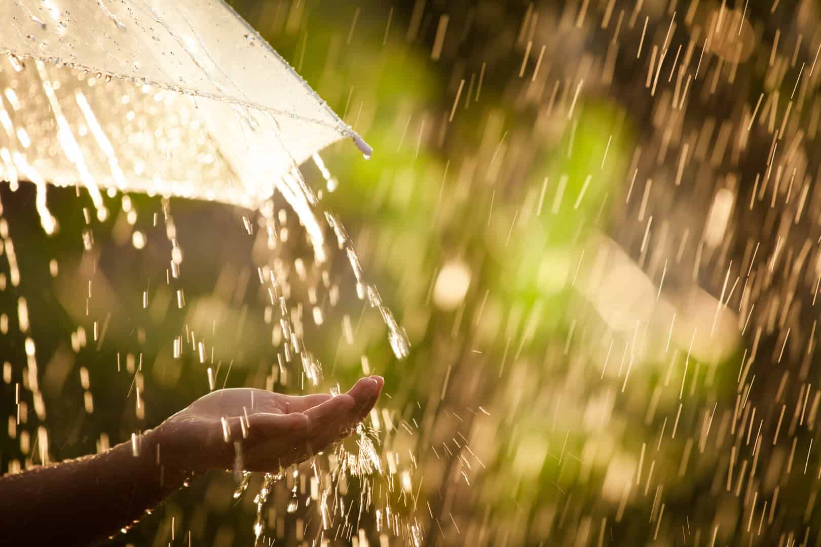 dreamstime m 93600378