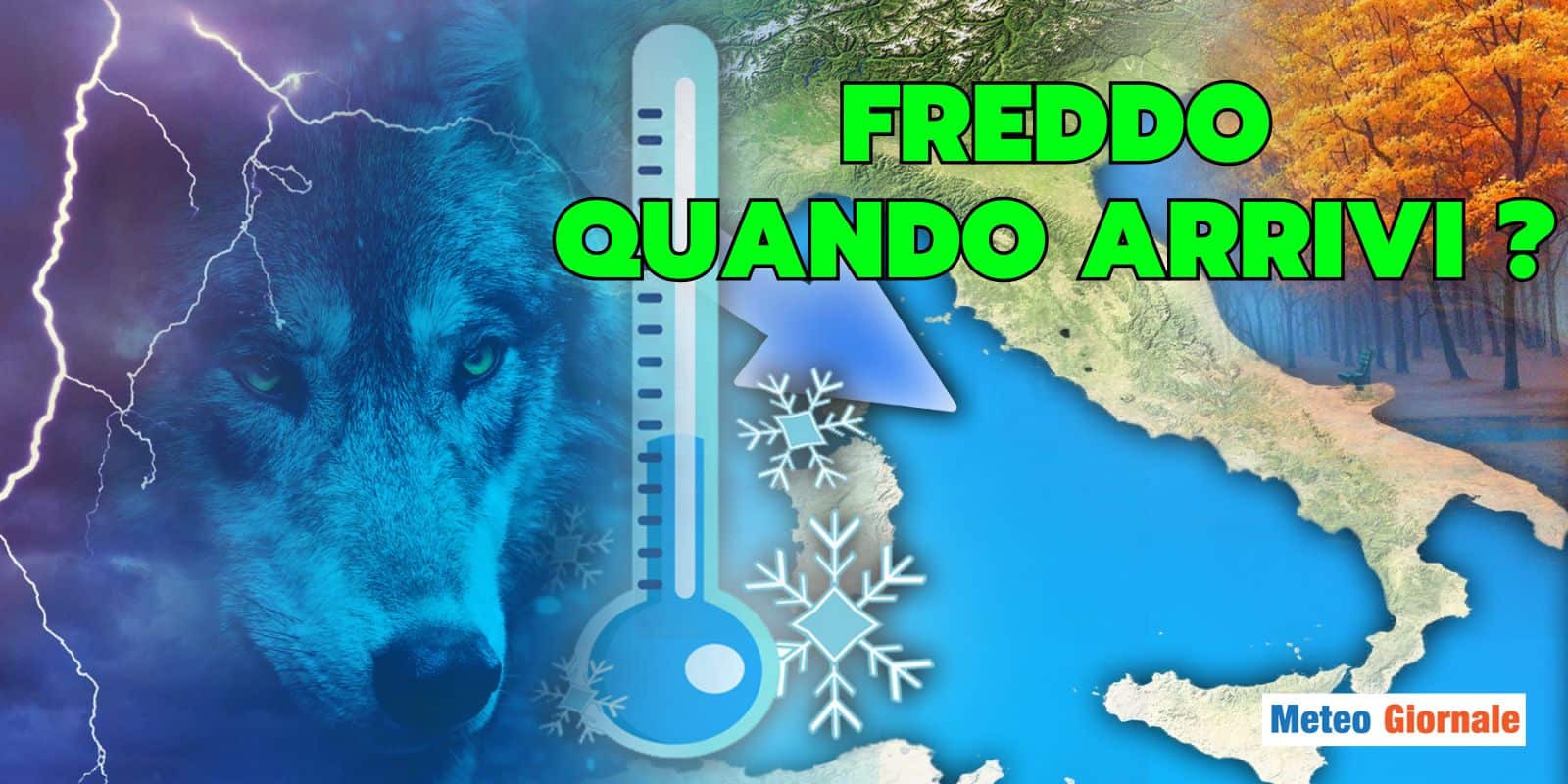 freddo quando arriva 16 gfgh