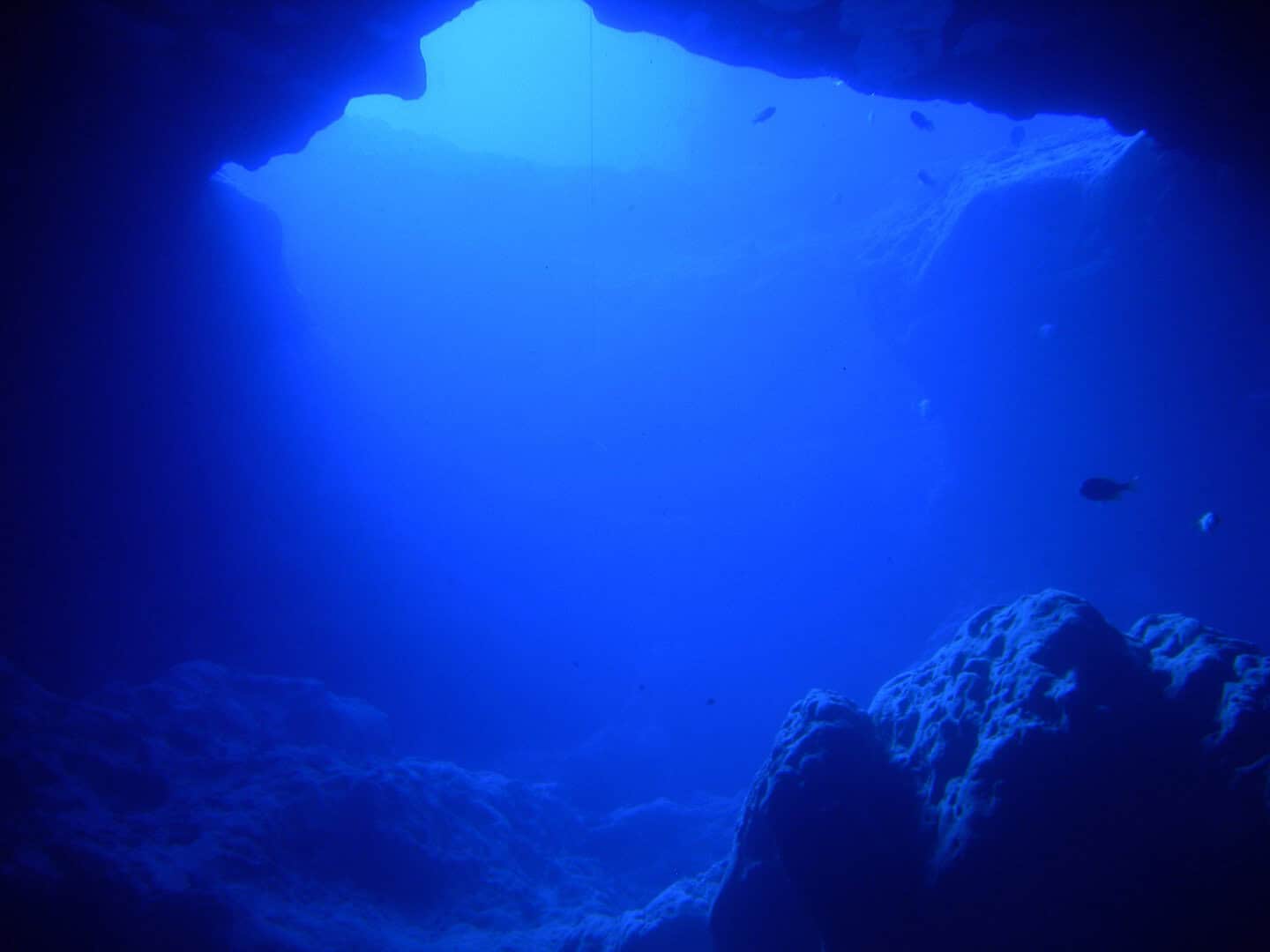 L’inquietante Grande Buco Blu: ecco cosa hanno scoperto i subacquei