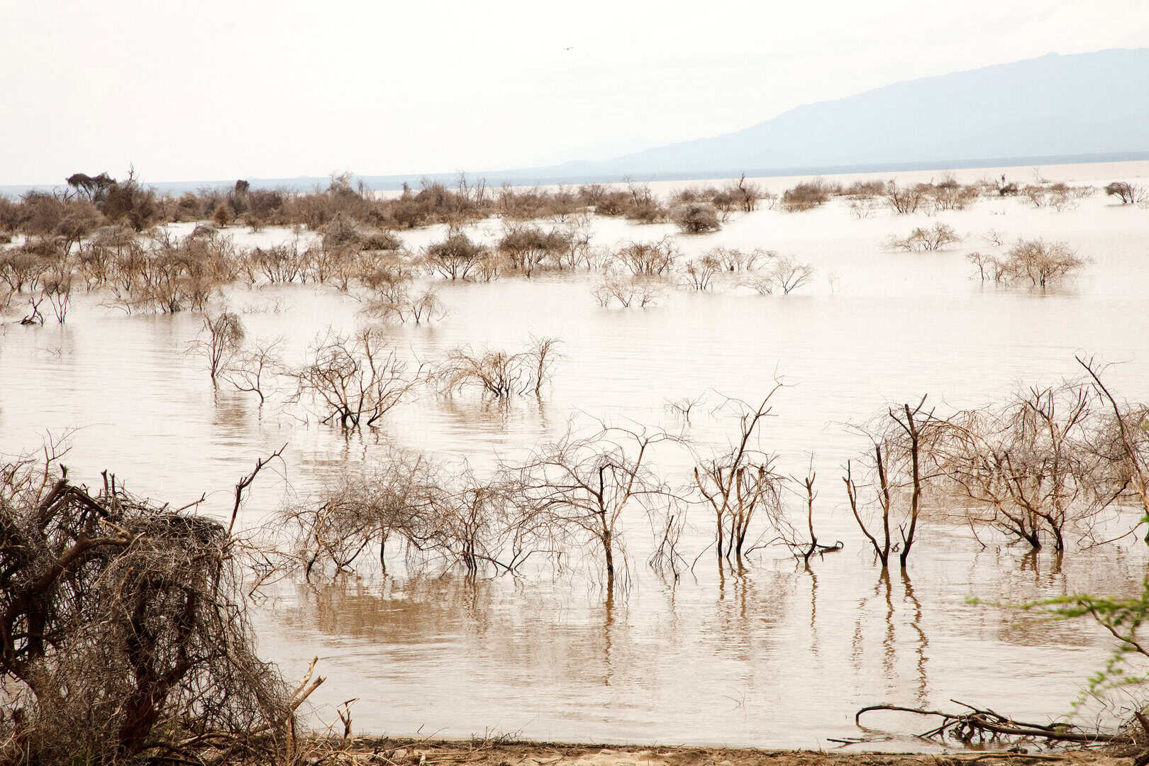 Riscaldamento climatico globale: l’Africa incide meno ma paga il prezzo più alto